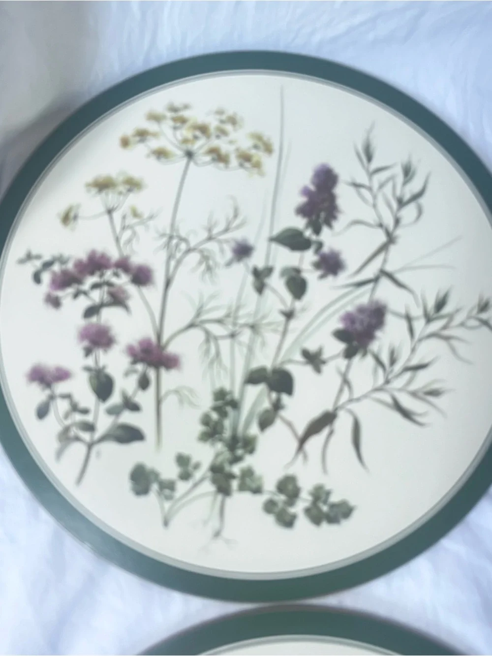 Vintage Cottagecore English Life Botanical Wildflower Placemats Set of 6